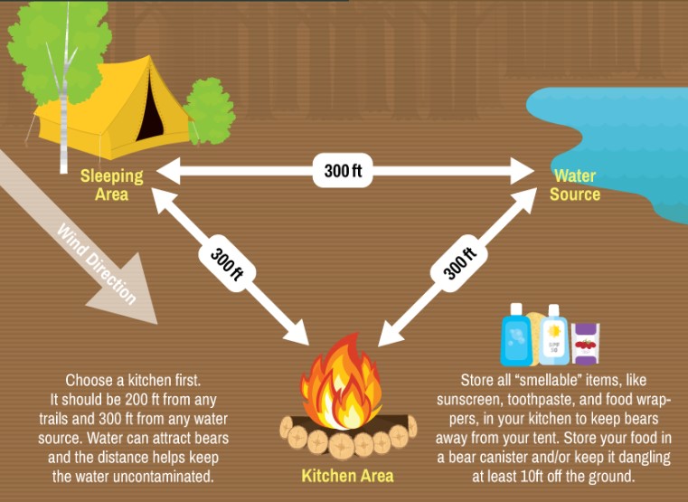 How Far Away Can a Bear Smell Food?