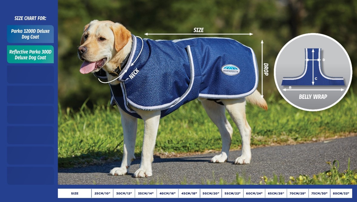 How to Know What Size Coat to Buy for Your Dog?