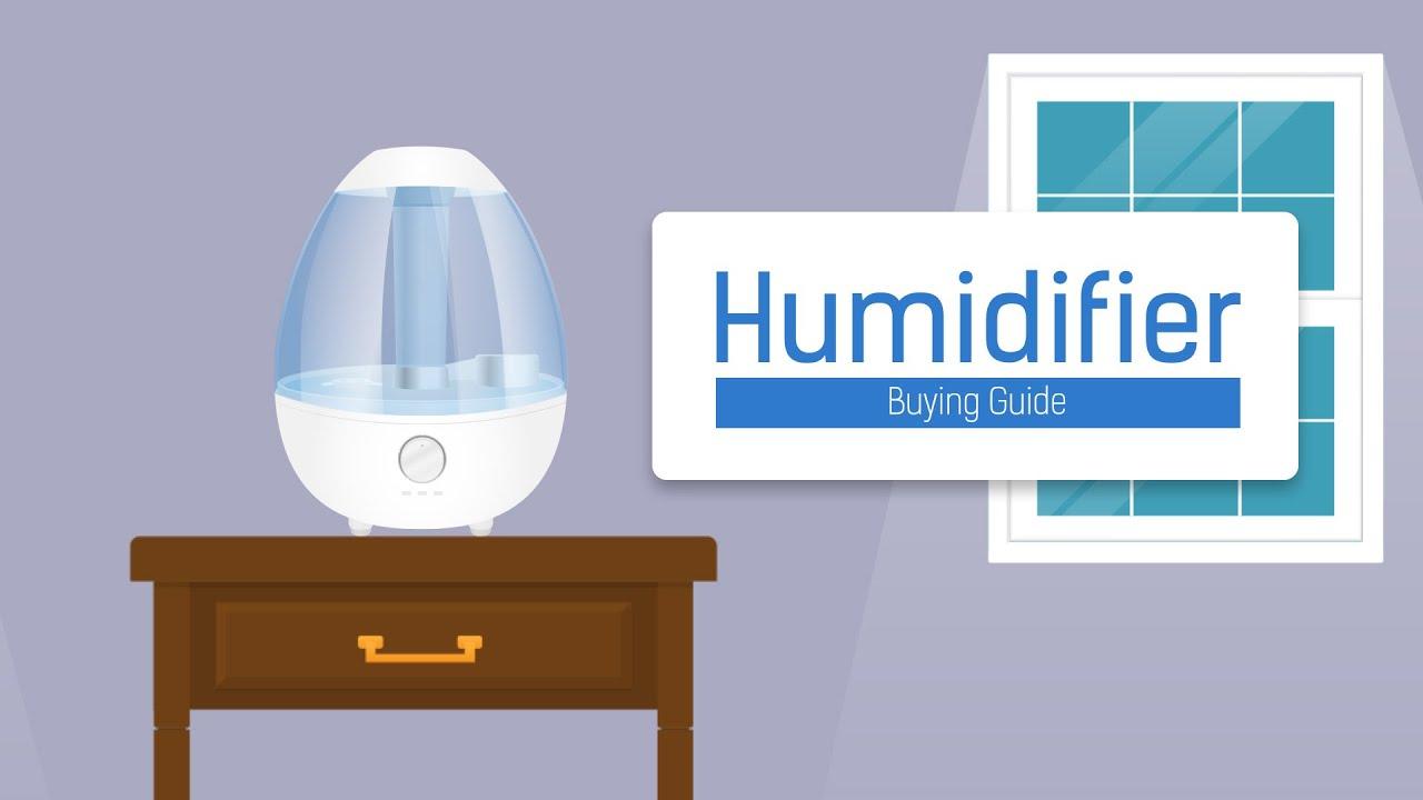 Humidifier Buying Guide Everything You Need to Know